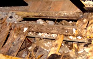 MIAMI HERALD MAYOR MATTIE BOWER IGNORE SOUTH BEACH NIGHTCLUB CLEAR AND PRESENT DANGERS