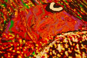 VICTOR HUGO VACA JR ART