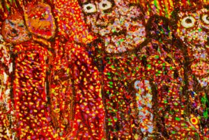 VICTOR HUGO VACA JR ART