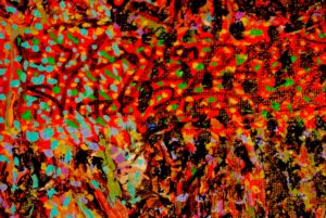 VICTOR HUGO VACA JR ART