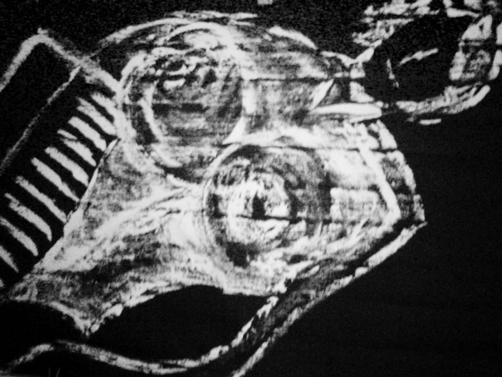 Victor Hugo Art