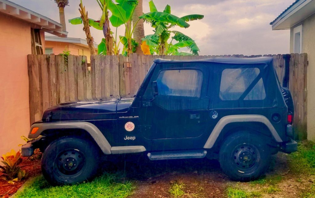 Victor Hugo Art Jeep